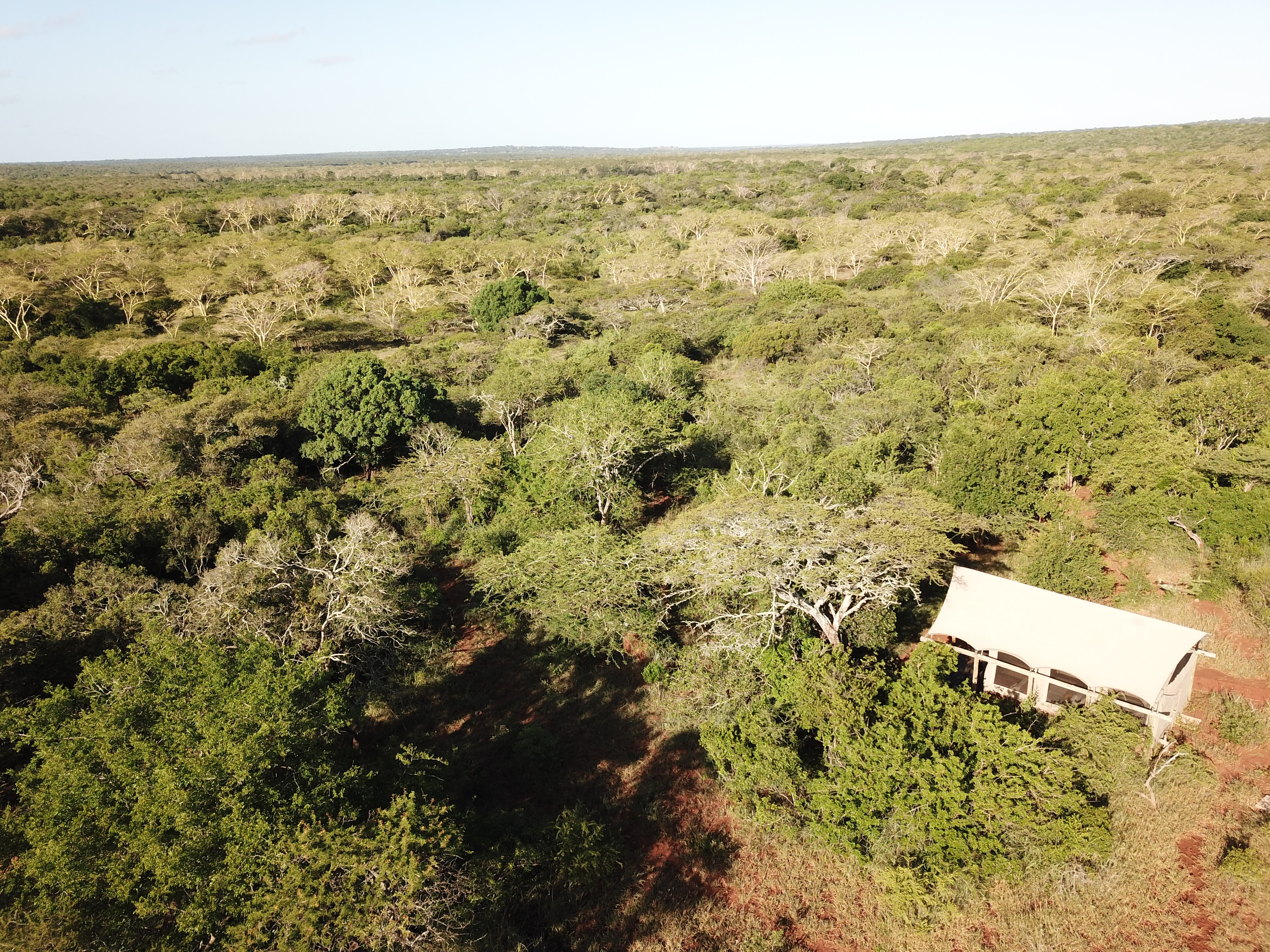 Zululand Lodge thumbnail 9